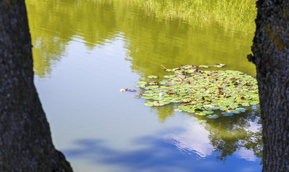 Similar image 21892933