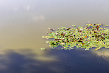 Similar image 21892934