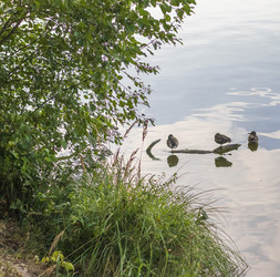 Similar image 21892936