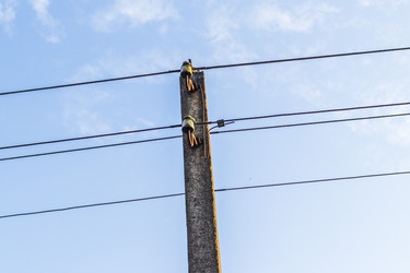 Similar image 21892951