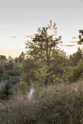 Similar image 21892953