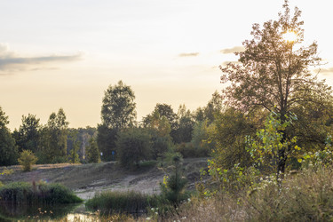 Similar image 21892955