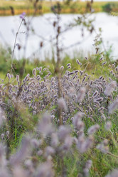 Similar image 21892957