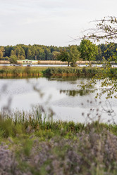 Similar image 21892959