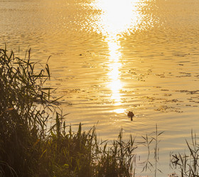 Similar image 21892972