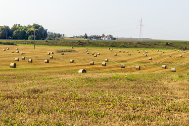 Similar image 21892984