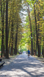 Similar image 21892987