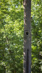 Similar image 21893021