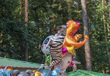 Similar image 21893022