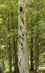 Similar image 21893024