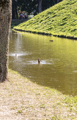 Similar image 21893028