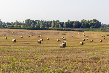 Similar image 21893037