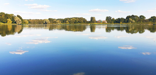 Similar image 21893043