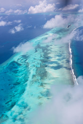 Similar image 21892310