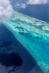 Similar image 21892312