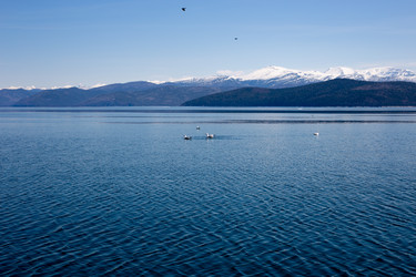 Similar image 21892316