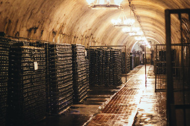 Similar image 21892329