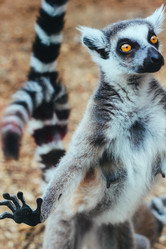 Similar image 21892330