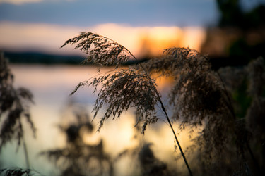 Similar image 21892197