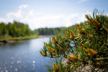 Similar image 21892199