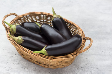 Similar image 21892825