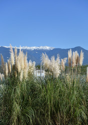 Similar image 21892479