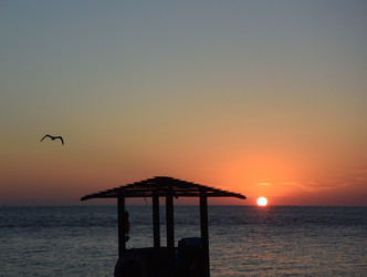 Similar image 21892850