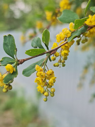 Similar image 21892336