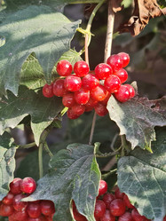 Similar image 21892337