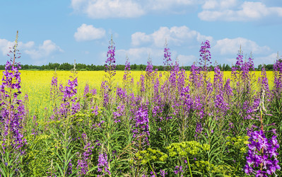 Similar image 21892494