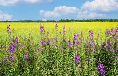 Similar image 21892495