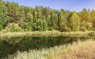 Similar image 21892497