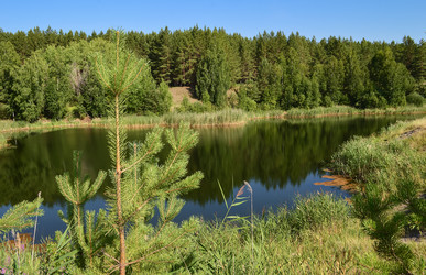 Similar image 21892499