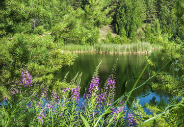 Similar image 21892501