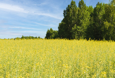 Similar image 21892502