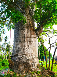 Similar image 21892340