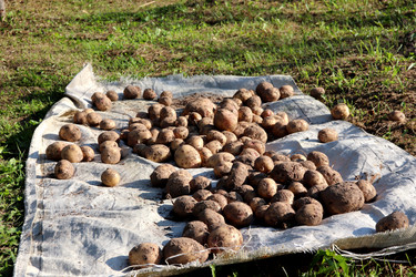 Similar image 21894192