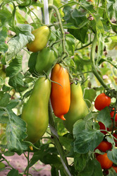 Similar image 21894194