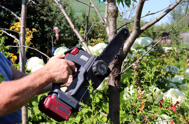 Similar image 21894197