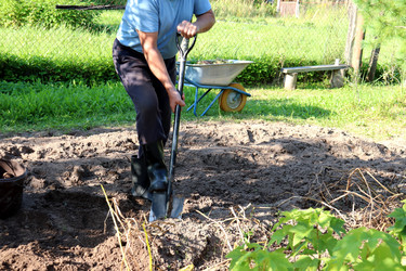 Similar image 21894198