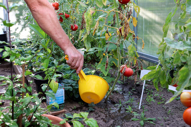 Similar image 21894199