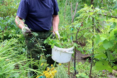 Similar image 21894202