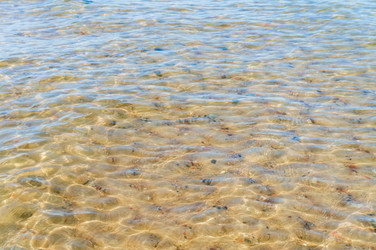 Similar image 21894477