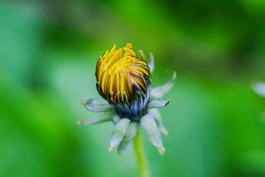 Similar image 21894478