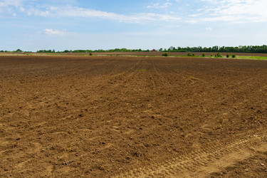 Similar image 21894481