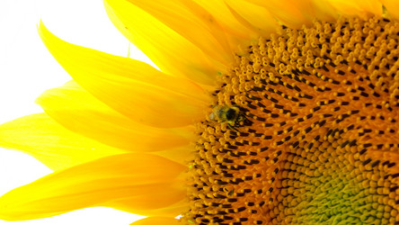 Similar image 21892346