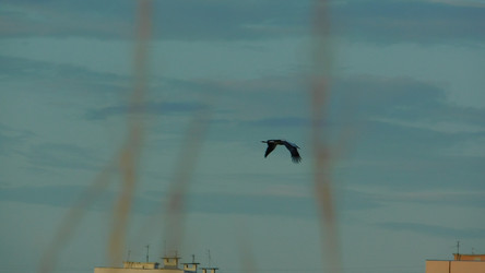 Similar image 21892347