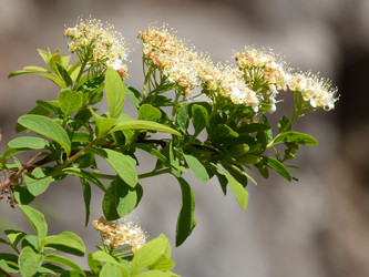 Similar image 21892349