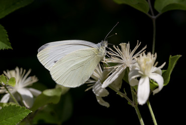 Similar image 21892353