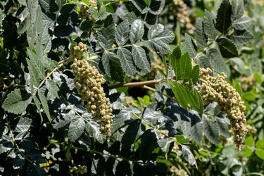 Similar image 21892355